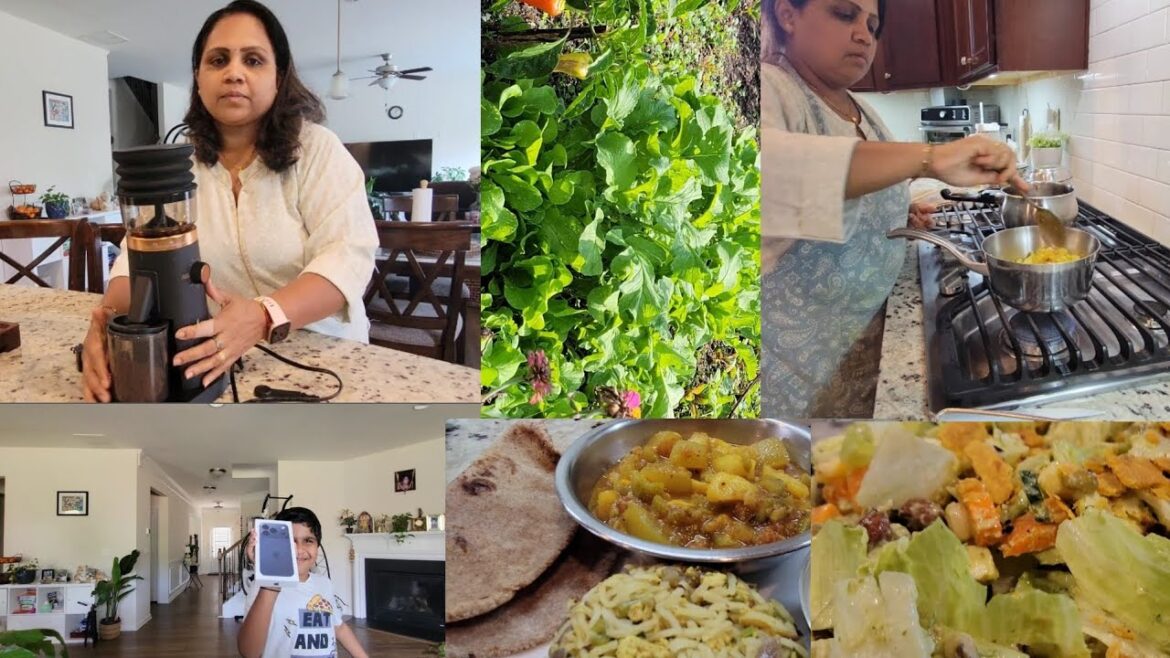 Fresh Veggies from backyard garden to kitchen| AMZCHEF Coffee bean grinder| Dailyvlog