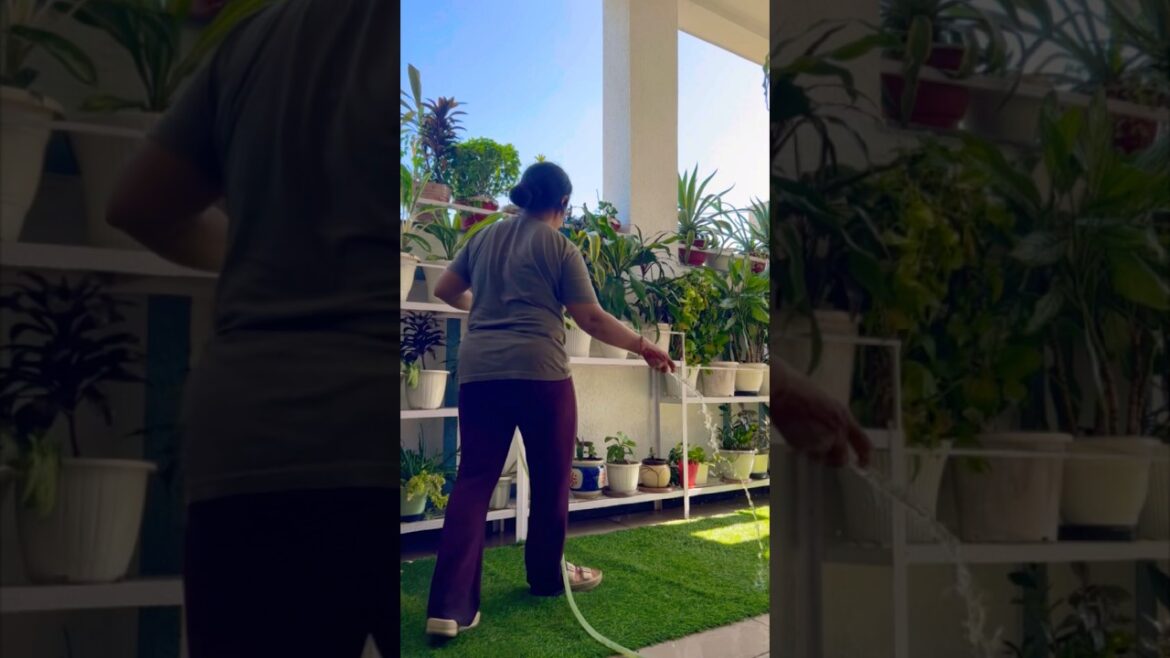 Gardening work #garden #motivation#plants #flowers #gardenplants #gardeningtips #shorts