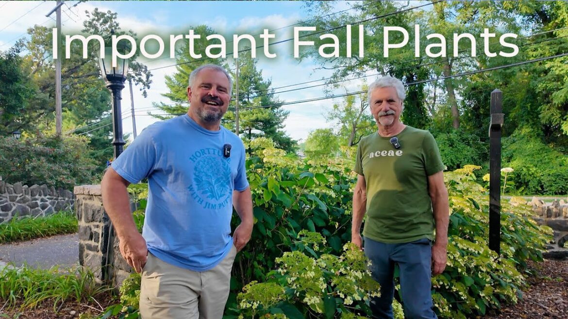 Talking Pollinator Plants, Deer, and Dry Shade Gardening