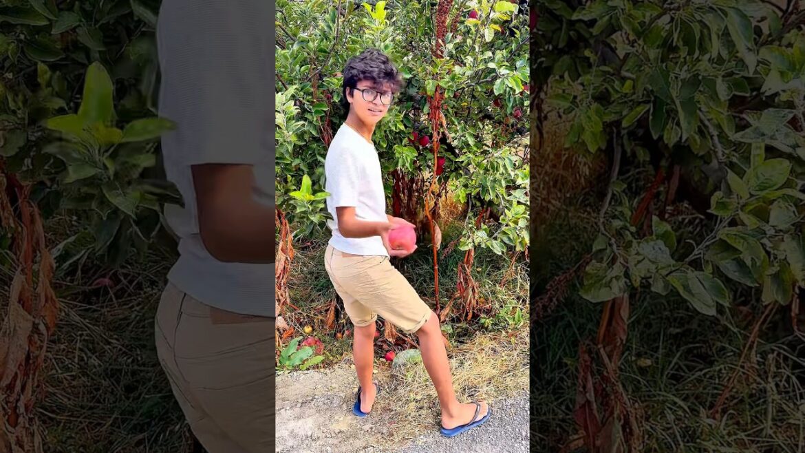 Discover the TOP Apple Orchard Trends in 2025!