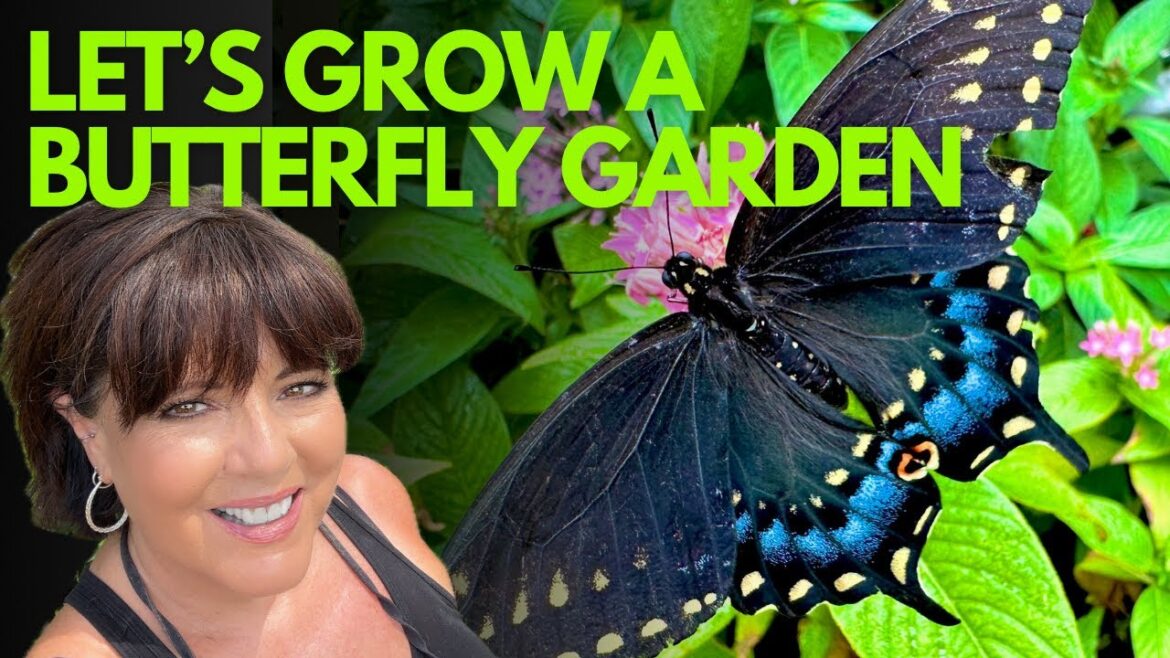 How to Attract More Butterflies:  5 Proven Strategies