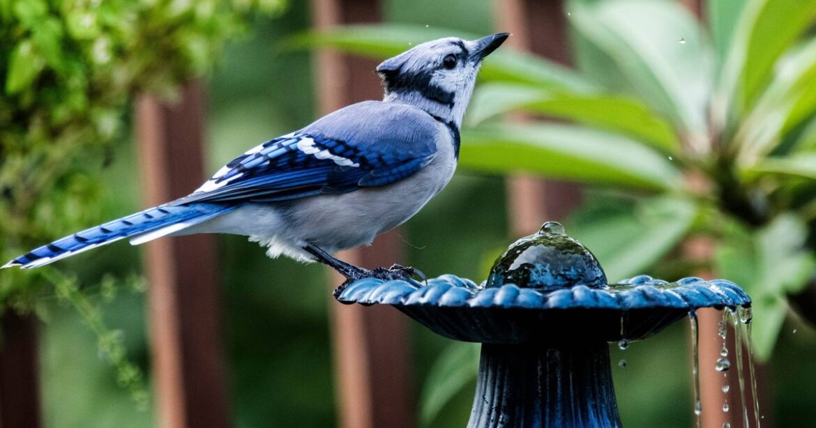 Nottinghamshire Live