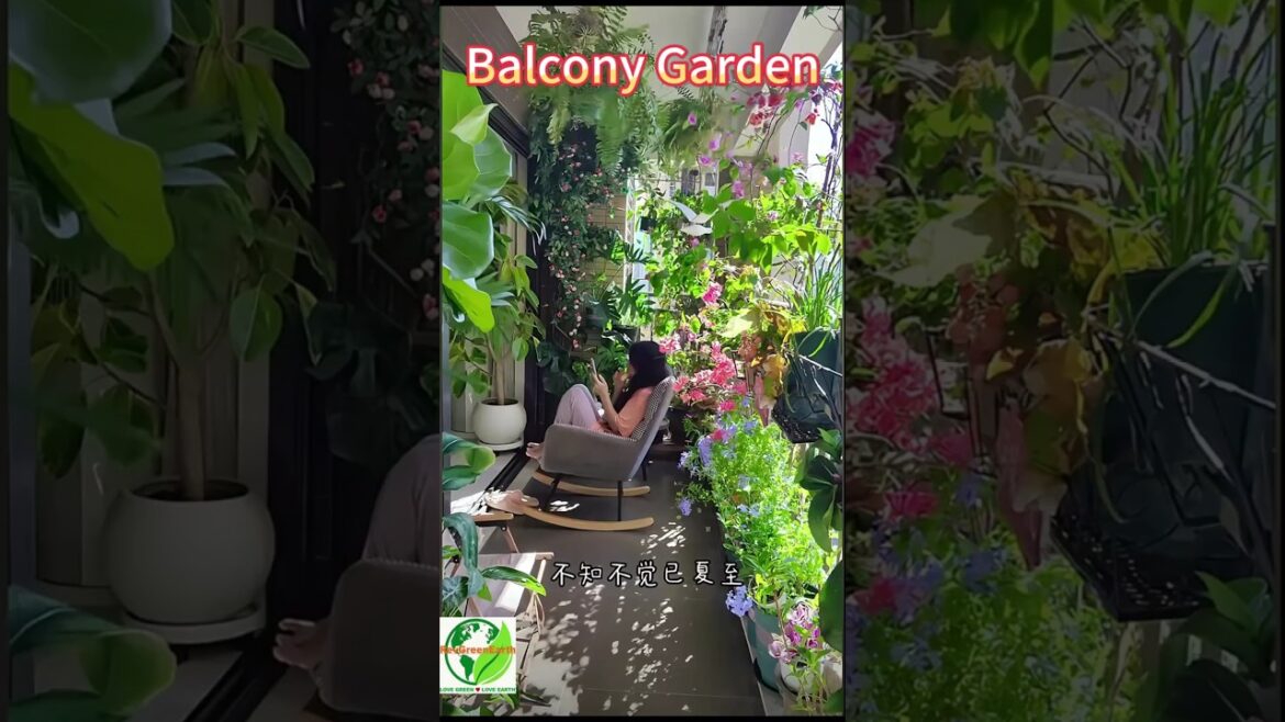 Cozy Balcony Garden Glow Up