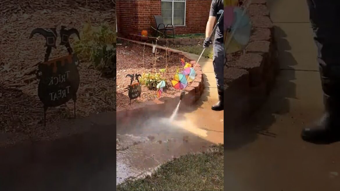 Pressure Washing | Mowing Done Beautifully 🌿 #shorts #satisfying #asmr Pressure Washing | Mowing Done Beautifully 🌿 #shorts #satisfying #asmr