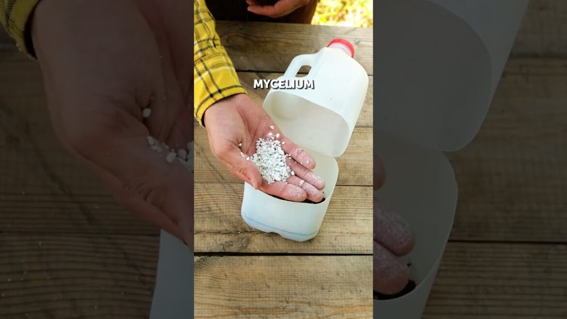 Plant & farm tricks that actually work! 🌱🔥 #greenthumb #farminghacks Plant & farm tricks that actually work! 🌱🔥 #greenthumb #farminghacks