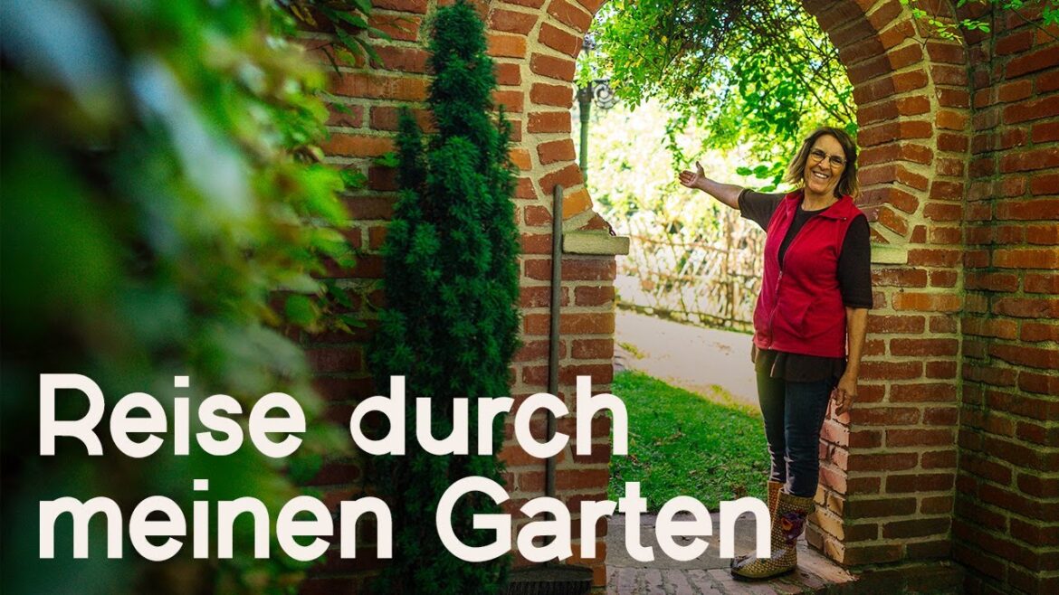 Gartenrundgang Ende September 2025 mit tollen Gartentipps! 🤗🌼