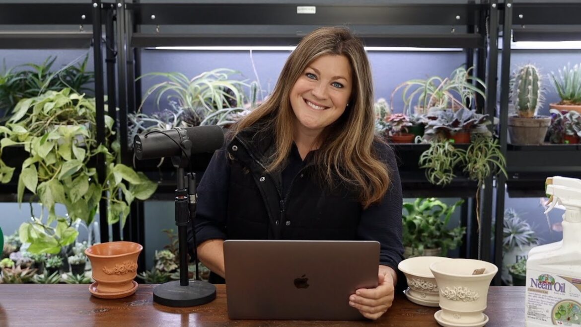 Do You Have To Replant All Your Bulbs? // Will You Bring Back Mail Time? // Recap 🌿