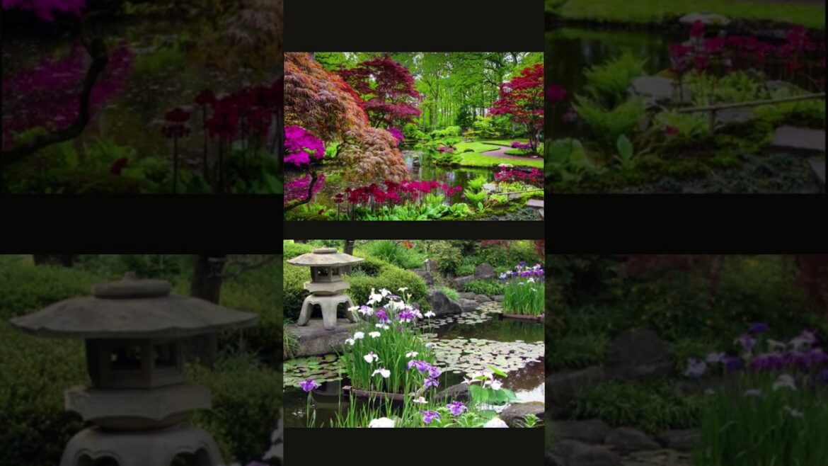 Beautiful Backyard Outdoor Ideas - Create Your Paradise #shorts