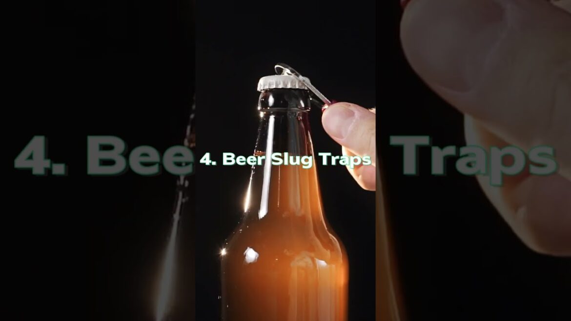 Backyard Garden Hacks