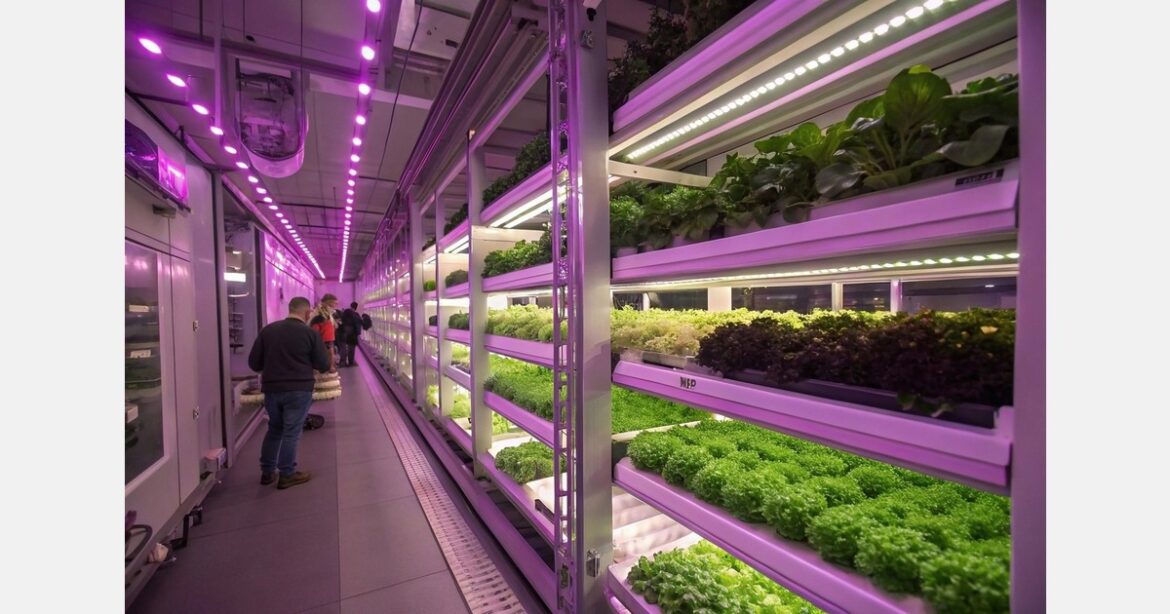 Edible Garden executes new two-year distribution agreement with Michigan retailer Edible Garden to feature first-to-market USDA Organic Hydroponic Basil at 2025 Global Produce & Floral Show