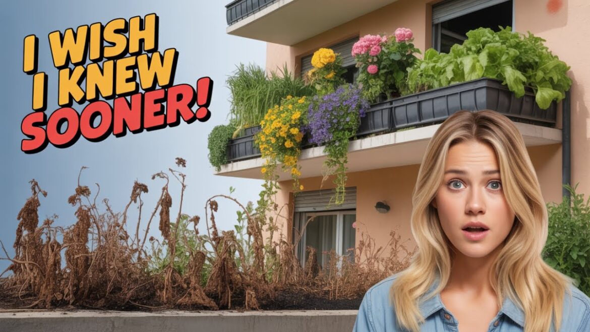 5 Container Gardening SECRETS I Wish I Knew Sooner!