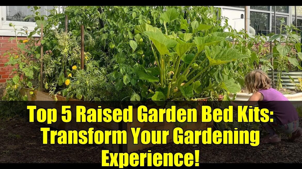 Top 5 Raised Garden Bed Kits: Transform Your Gardening Experience! Top 5 Raised Garden Bed Kits: Transform Your Gardening Experience!