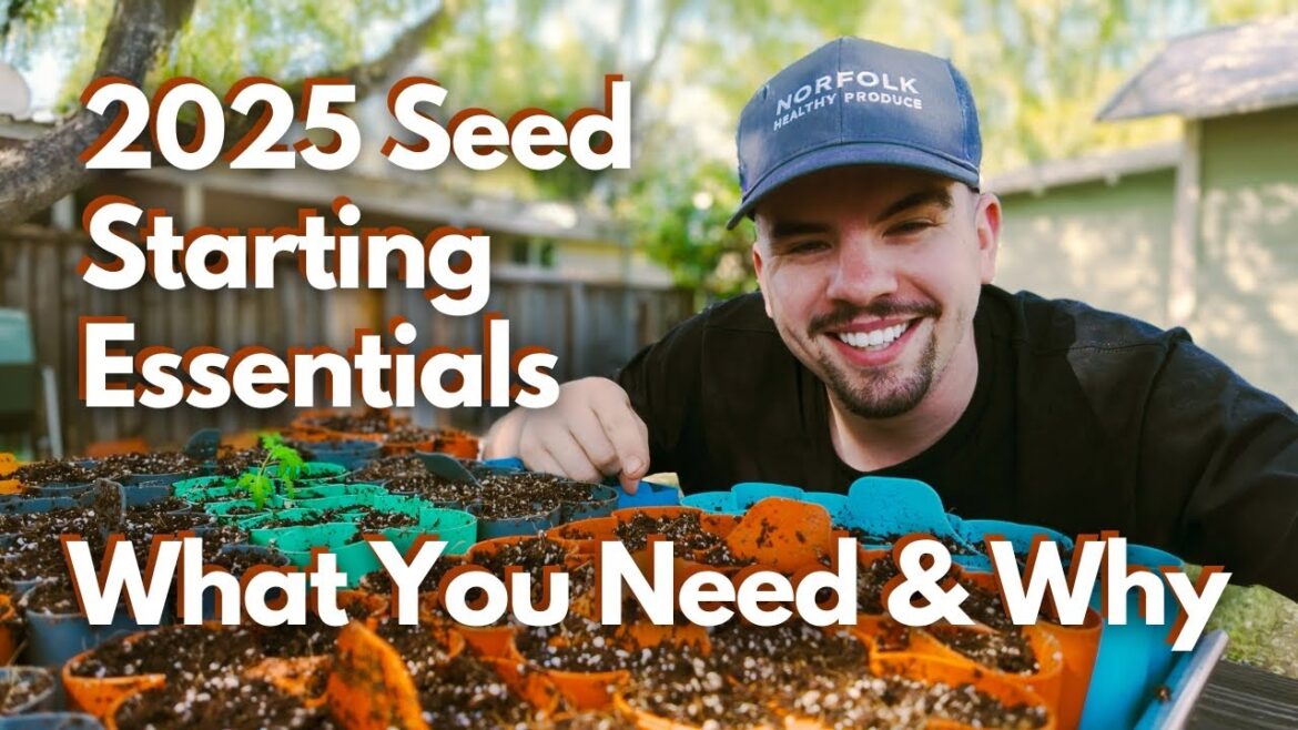 Silicone Seed Trays, Purple Tomato Controversy, Chocolate Habaneros & Your Seed Starting Essentials Silicone Seed Trays, Purple Tomato Controversy, Chocolate Habaneros & Your Seed Starting Essentials