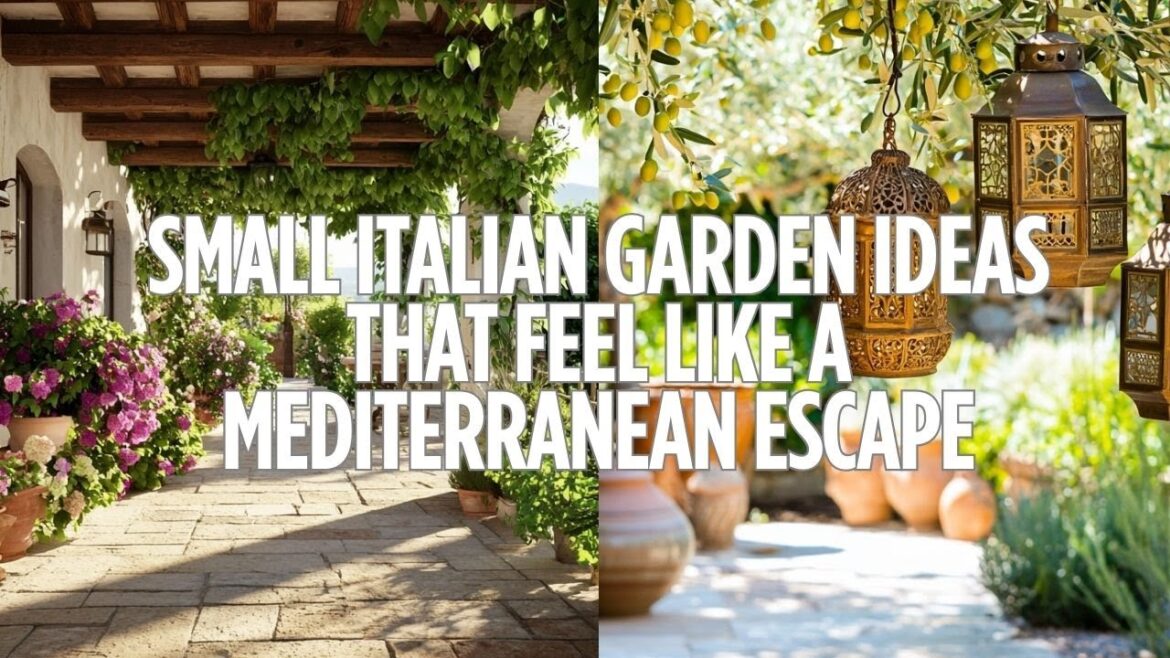 Small Mediterranean Garden Ideas for a Timeless Rustic Backyard