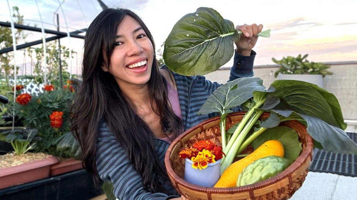 Set It and Forget It: The Container Garden That Takes Care of Itself Set It and Forget It: The Container Garden That Takes Care of Itself