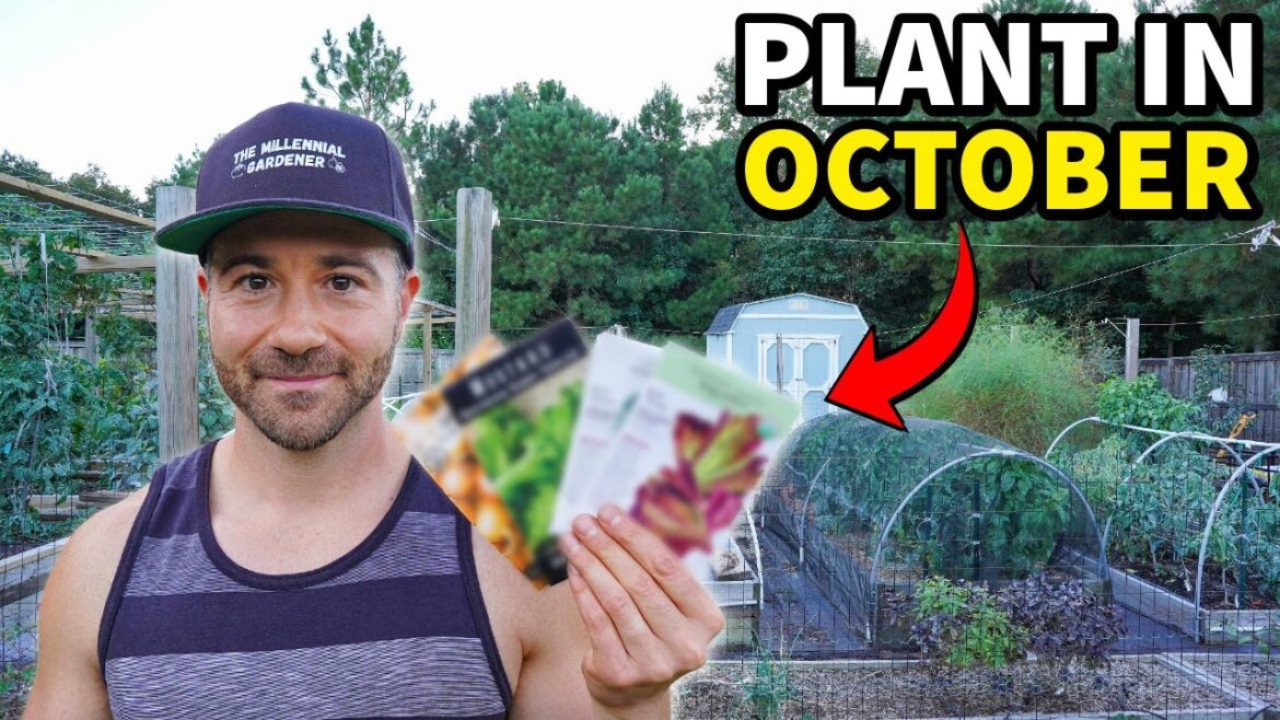 Plant These 10 AWESOME Crops In October RIGHT NOW!