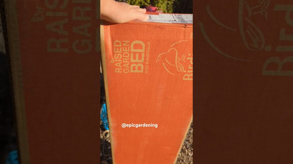 Excited to do a garden project with Birdies raised beds!#garden #raisedbedgarden#epicgardening Excited to do a garden project with Birdies raised beds!#garden #raisedbedgarden#epicgardening