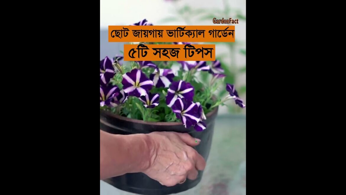 ছোট জায়গায় ভার্টিক্যাল গার্ডেন, স্টেপ বাই স্টেপ, ৫টি সহজ টিপস Part 01 #shorts #nature #garden ছোট জায়গায় ভার্টিক্যাল গার্ডেন, স্টেপ বাই স্টেপ, ৫টি সহজ টিপস Part 01 #shorts #nature #garden