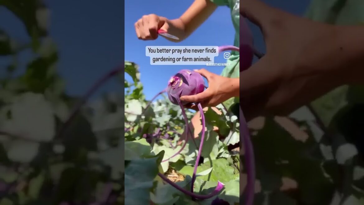 LOL. Shop all my farm tools, gear, gardening supplies, books, seeds, compost etc. by clicking