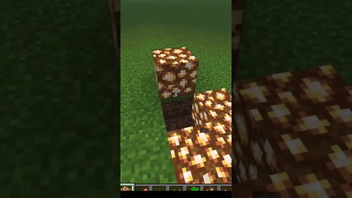 Minecraft Raised bed Idea for your Garden