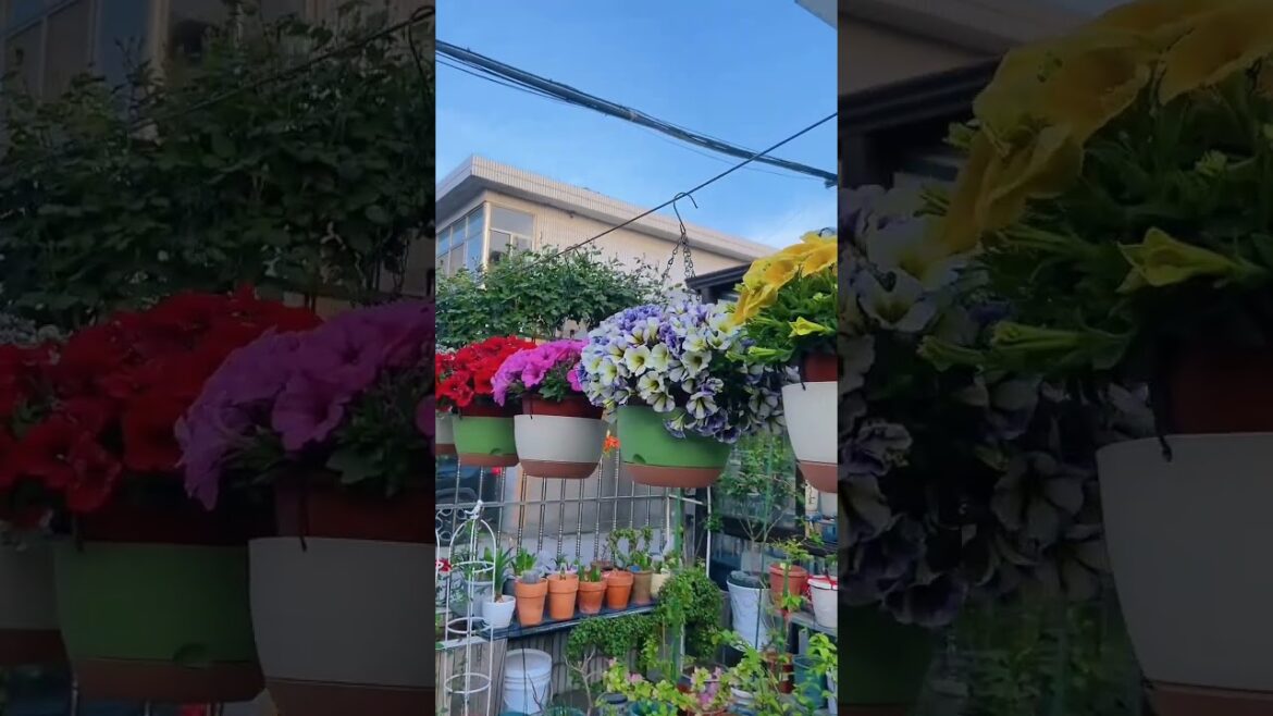 Sweet Outdoor Oasis Decoration Hacks Trends to Watch 🌸🌴#gardening #gardendelight #gardeningtips #diy