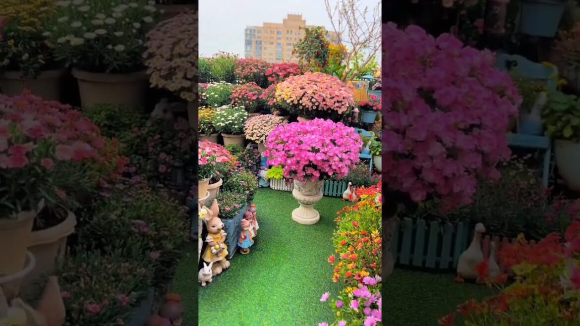 Garden Vibes to Spark Your Creativity 🌼🪴#gardending #garden #asmr #gardenplants #naturephotography