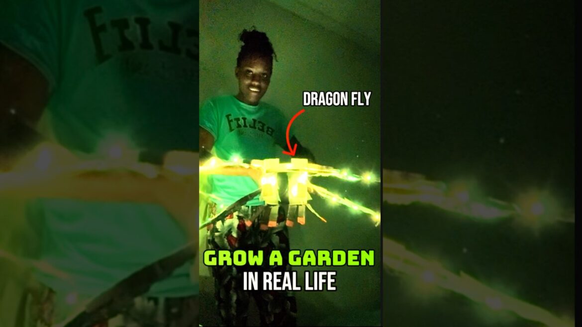 I Built a DRAGON FLY from Grow a Garden..
