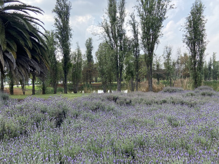 Mexican Architect Mario Schjetnan and Grupo de Diseño Urbano Awarded the 2025 Oberlander Prize for Landscape Architecture - Image 2 of 12