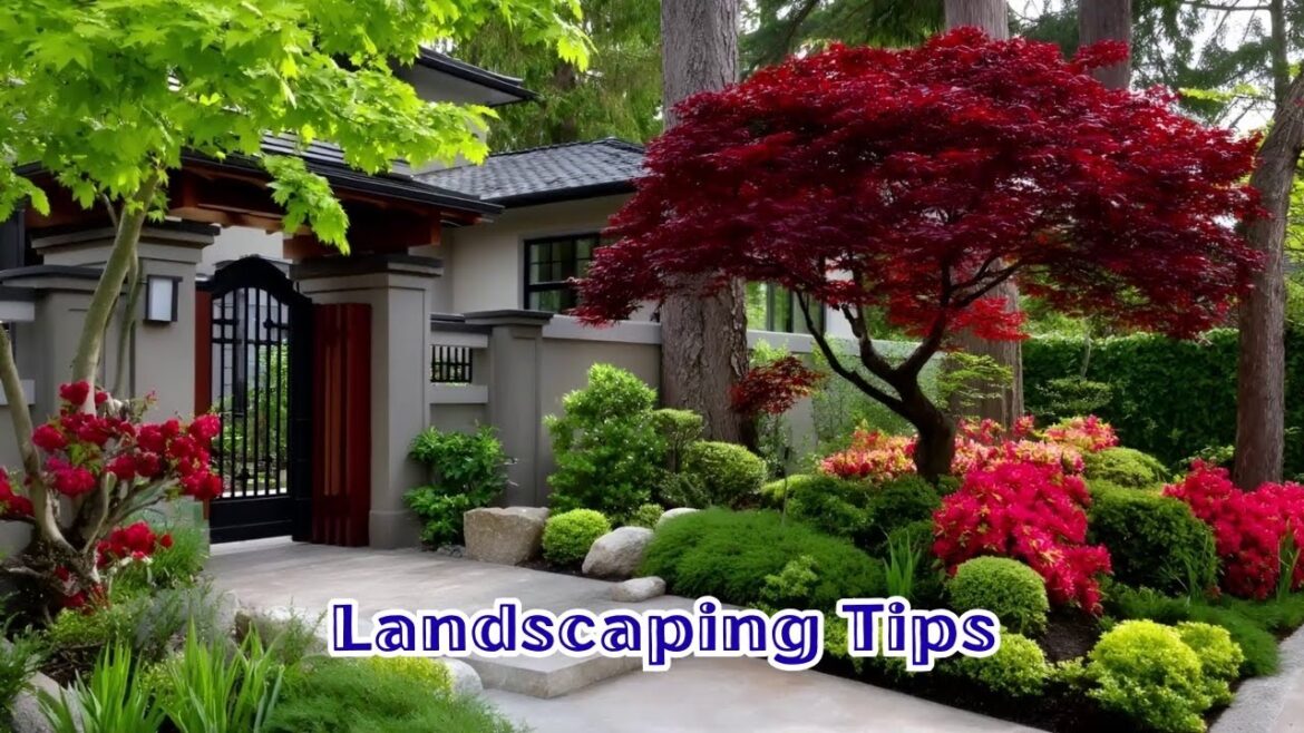 Small Front Yard Landscaping Tips | Budget-Friendly Entryway Gardens with Elegant Gates & Arches Small Front Yard Landscaping Tips | Budget-Friendly Entryway Gardens with Elegant Gates & Arches