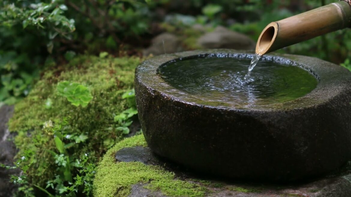 Are You Making These Common Japanese Garden Design Mistakes? Are You Making These Common Japanese Garden Design Mistakes?