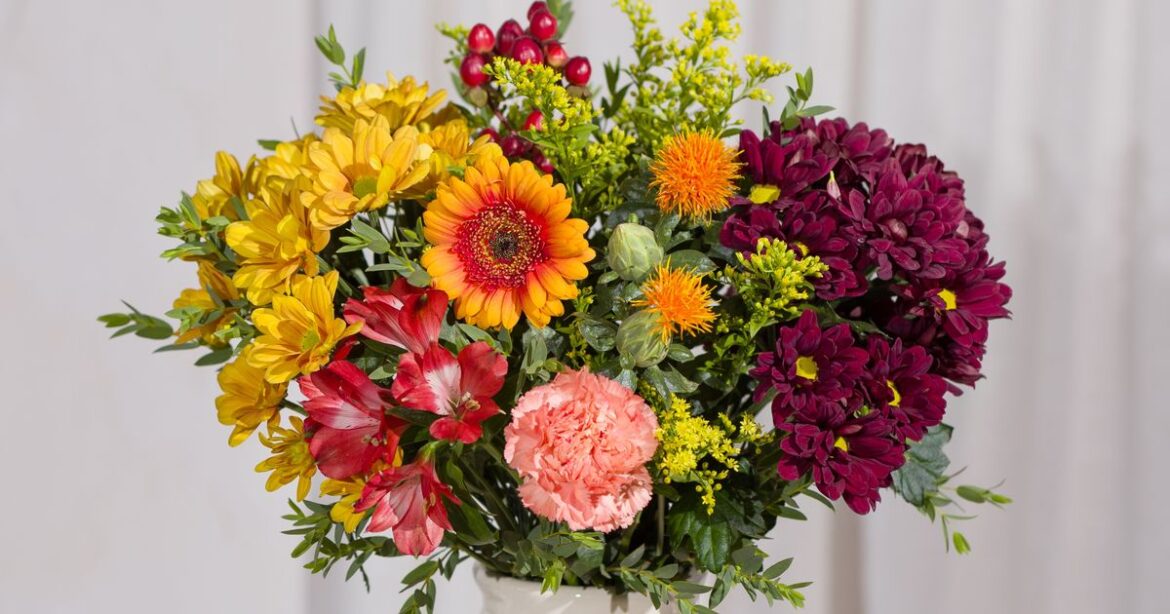 British family florist’s autumn flower range fit through the letterbox from £21 Bristol Live