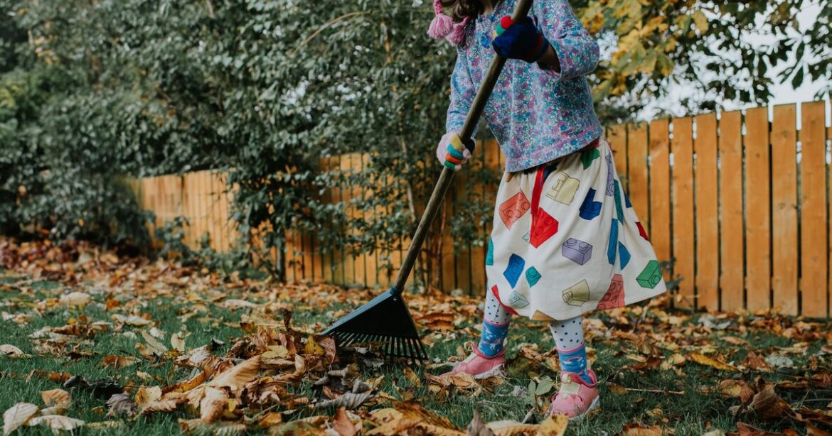 Gardeners urged to make 6 changes before winter to help ‘vulnerable species’ Devon Live