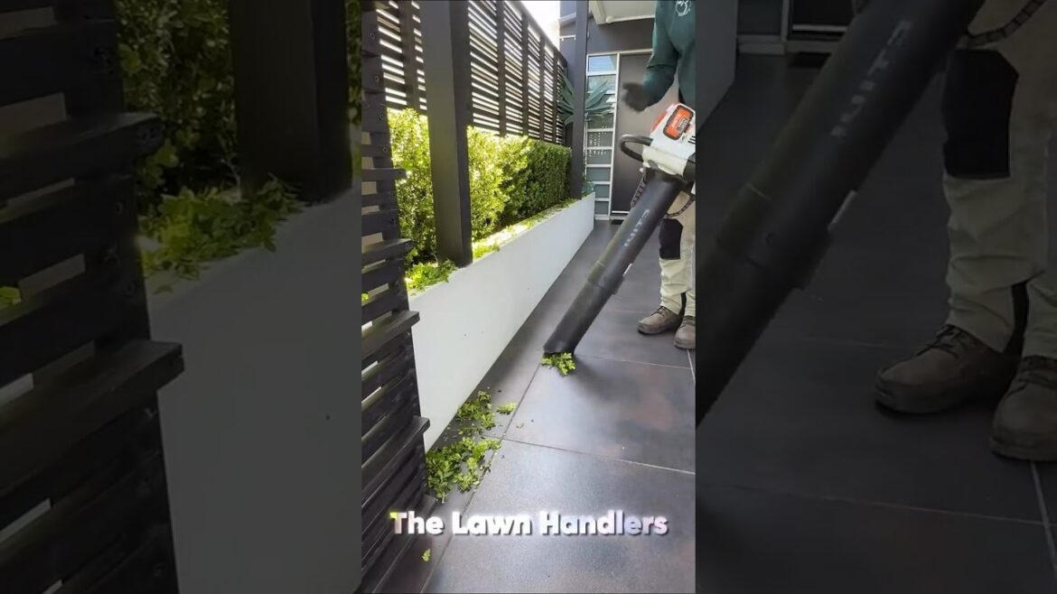 Lawn Edging | Lawn Mowing 🍃 #shorts #satisfying #asmr