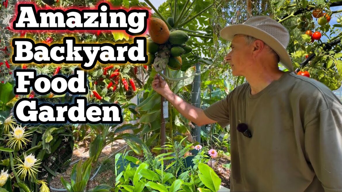 Permaculture Food Forest Garden Tour How to Grow Tons Low Maintenance Vegetable Gardening & Trellis Permaculture Food Forest Garden Tour How to Grow Tons Low Maintenance Vegetable Gardening & Trellis