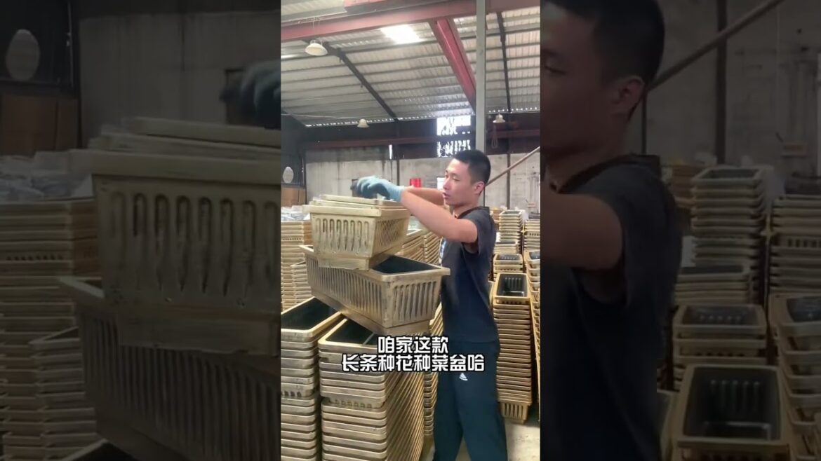 #shortvideo #garden #throwpots #gardeningtool