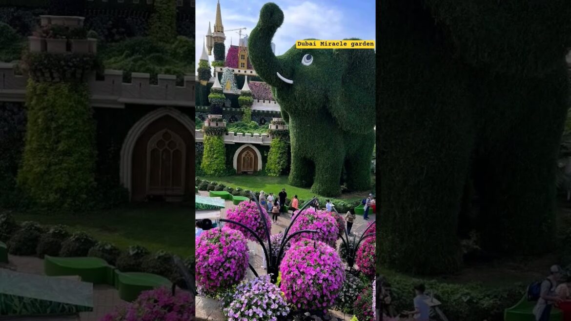 #dubai #miracle #garden #cinema #song #trends #youtubeshorts #