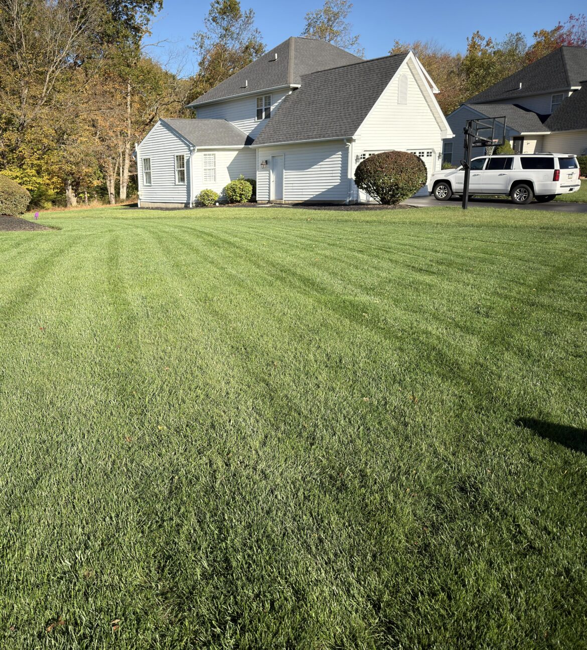 Blue resilience seed coming in