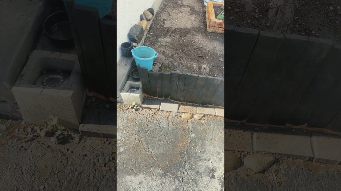 Garden design update #garden #christ #communitygarden #yahawah #gardening