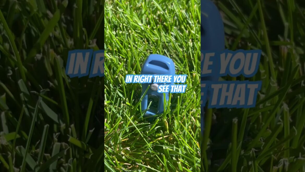 FALL LAWN CARE#lawn #home #landscaping #backyard #landscape #grass #viralvideo #shorts FALL LAWN CARE#lawn #home #landscaping #backyard #landscape #grass #viralvideo #shorts