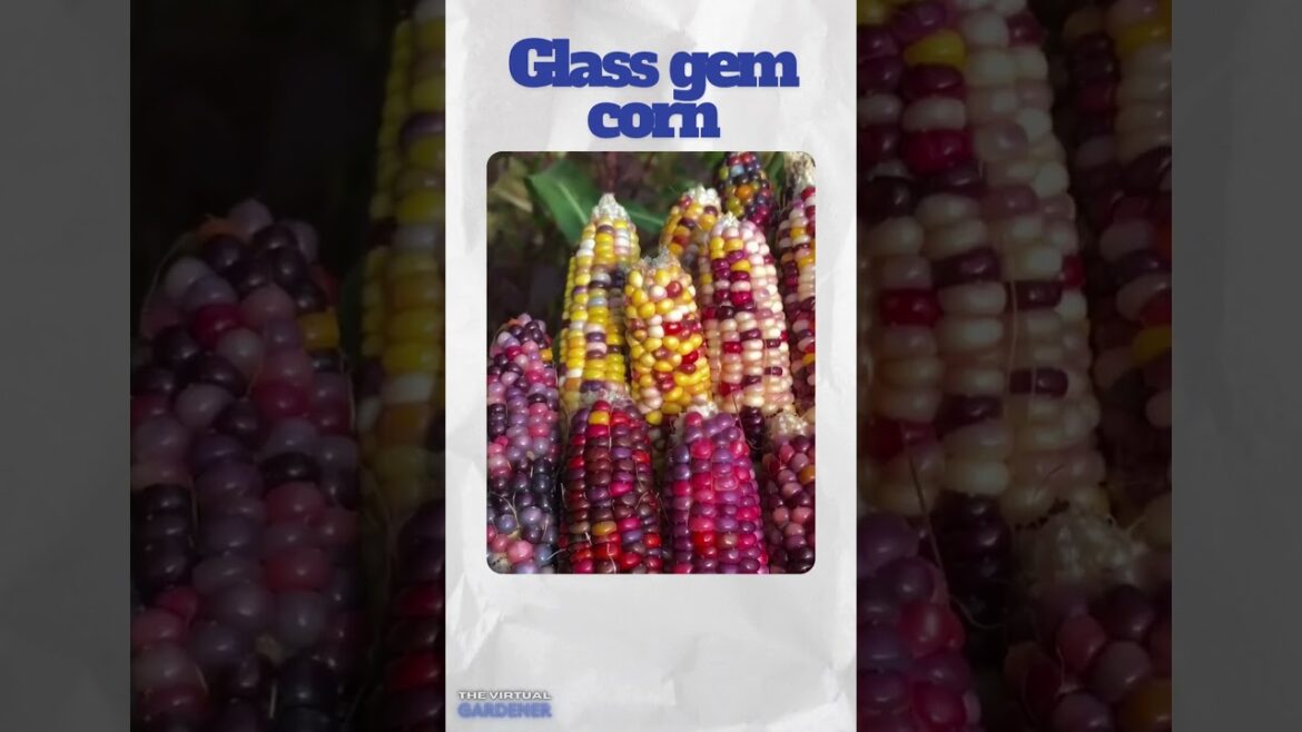 5 Bizarre Edible Plants You’ll Want to Try 🍽🌱 5 Bizarre Edible Plants You’ll Want to Try 🍽🌱