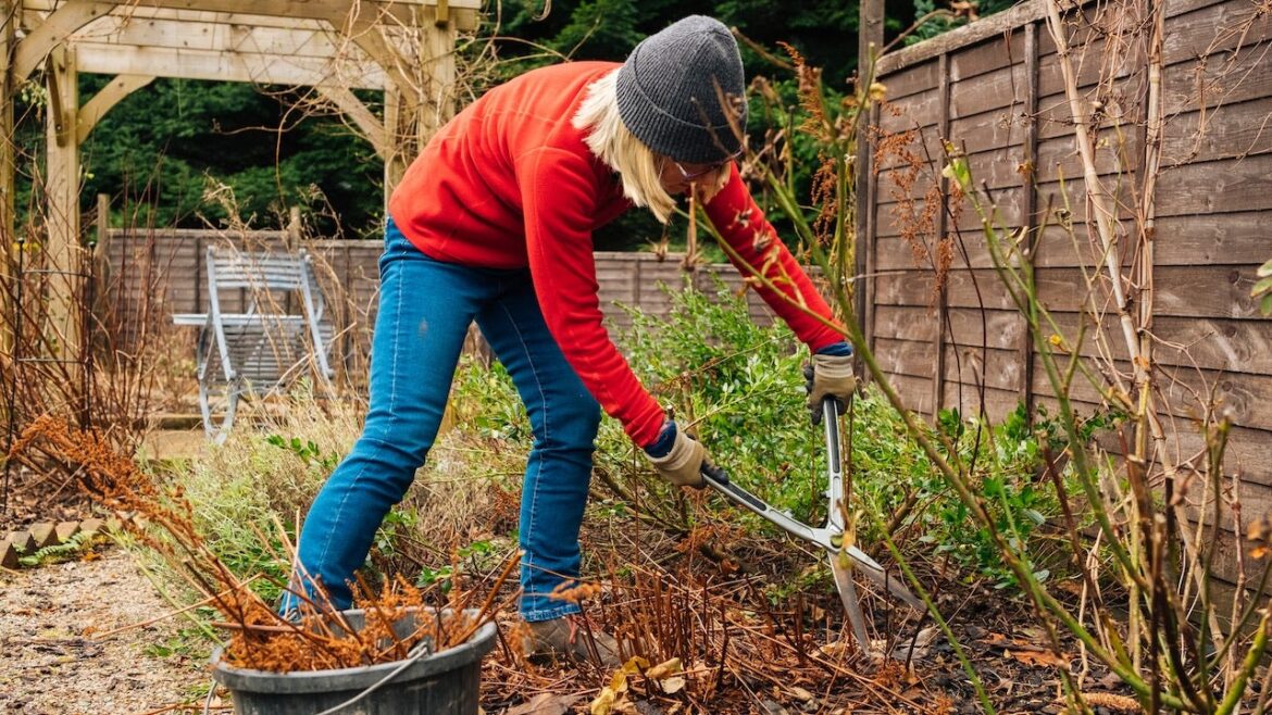 Prep your garden for winter with these must-haves