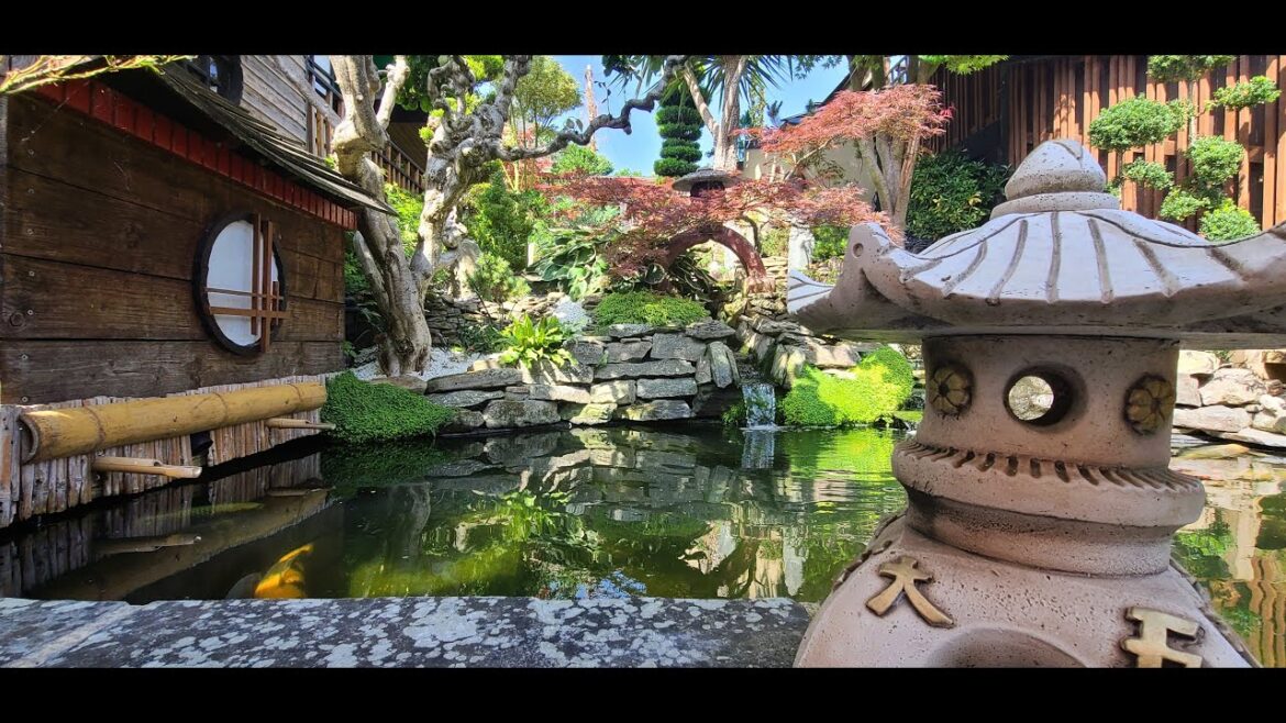 A MASTERPIECE JAPANESE GARDEN VISIT