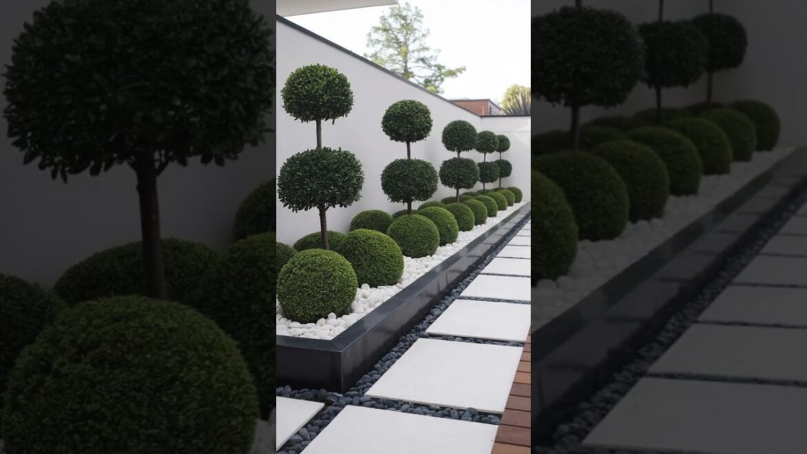 Side Yard Landscape Ideas Part 1 | Transform Small Outdoor Spaces Side Yard Landscape Ideas Part 1 | Transform Small Outdoor Spaces