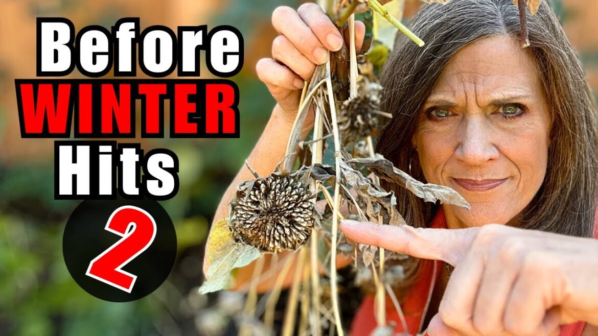 CaliKim: 5 MORE Things to Do Before Winter (Part 2) or Regret It in Spring | Any Garden, Any Climate 5 MORE Things to Do Before Winter (Part 2) or Regret It in Spring | Any Garden, Any Climate