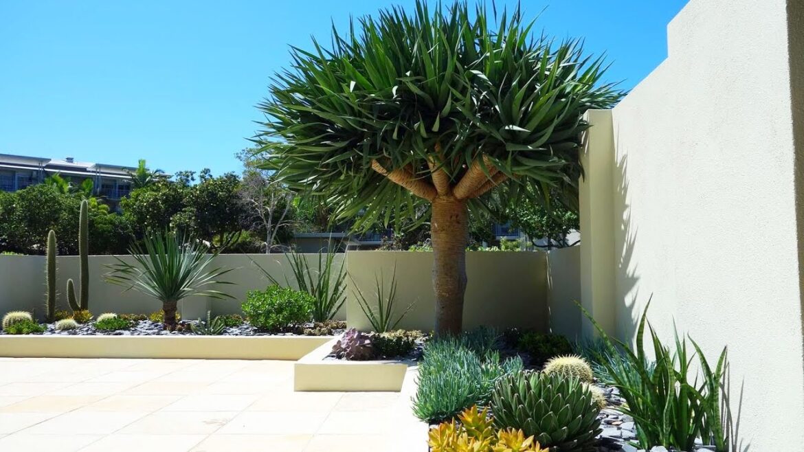 LOW MAINTENANCE FRONT YARD LANDSCAPING DESIGN IDEAS | EASY LOW BUDGET FRONT HOUSE GARDEN LANDSCAPE