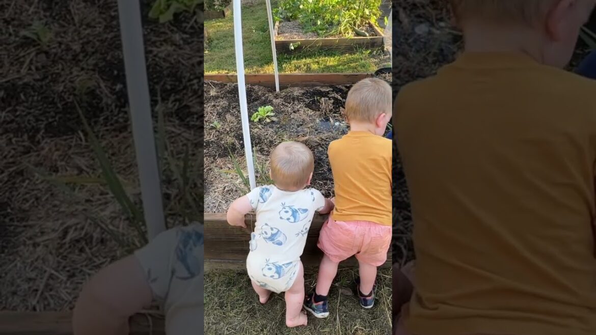 The Best Classroom? Our Backyard Garden ๐ฟ๐ฉโ๐พ The Best Classroom? Our Backyard Garden ๐ฟ๐ฉโ๐พ