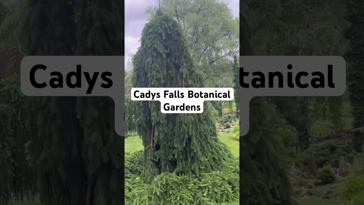 A Secret Garden #relativelyrefined #garden #midlifestyle A Secret Garden #relativelyrefined #garden #midlifestyle