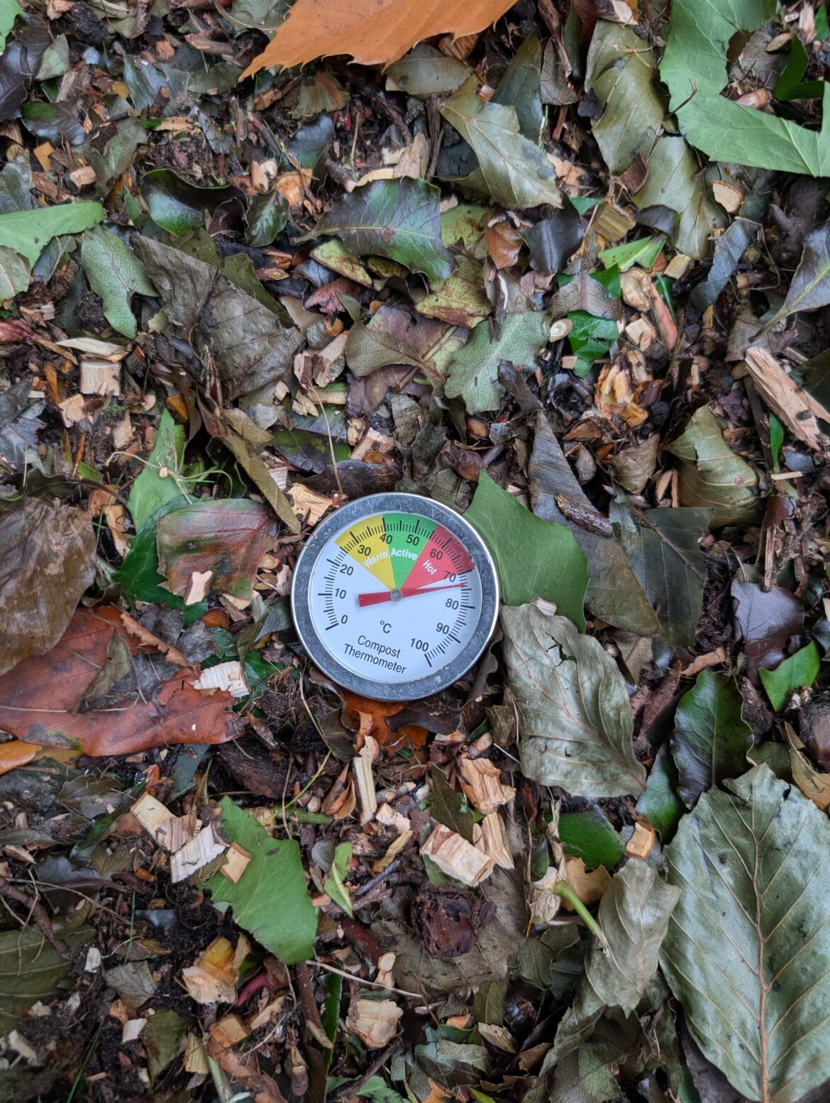 I hit my all time highest compost temperature today I hit my all time highest compost temperature today
