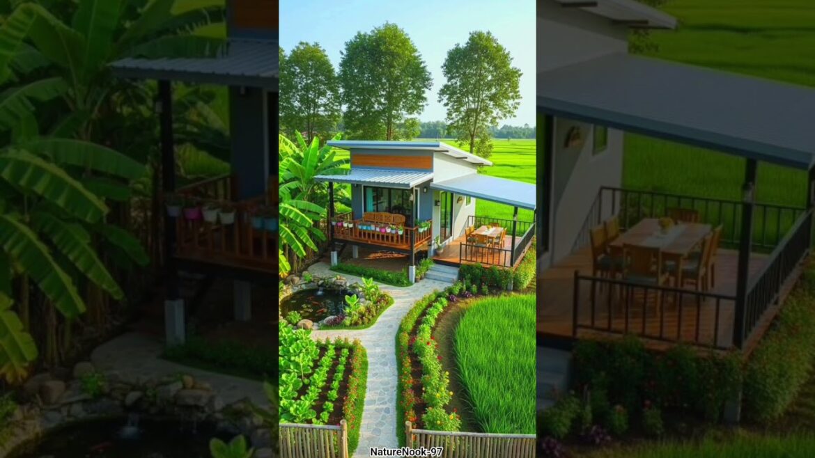 small house ❤️🌿 garden 🌾#nature #relax #vibes #trending #shorts #viral #home #garden #foryou