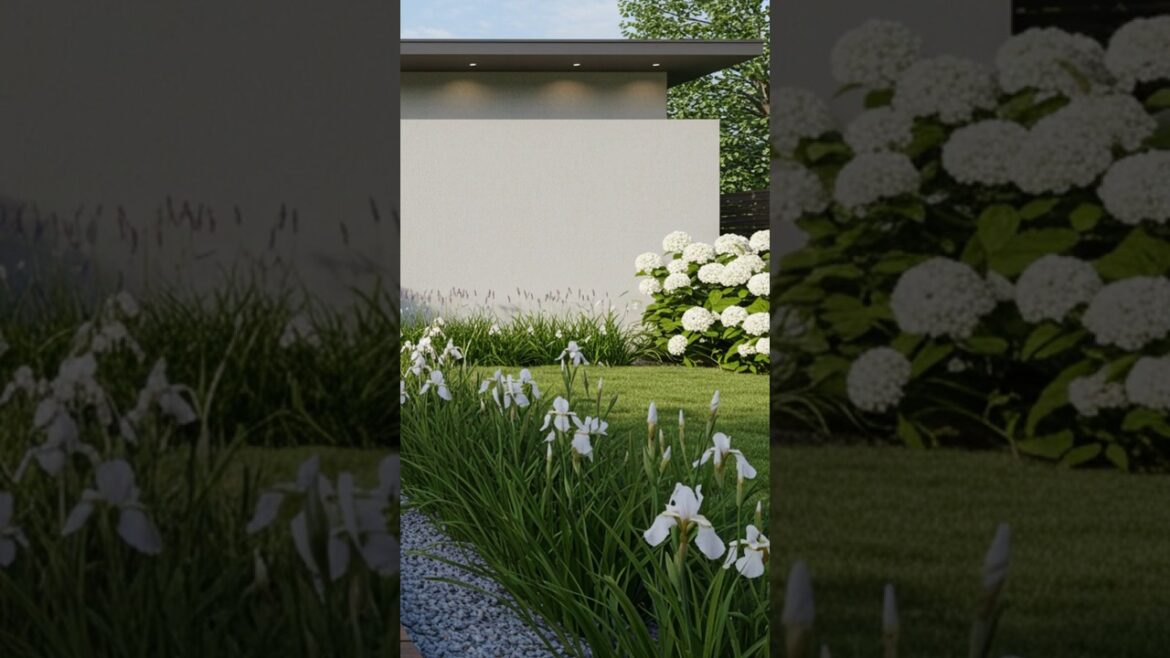 Serene Front Yard Inspiration with White Irises and White Hydrangeas | Modern Landscaping Serene Front Yard Inspiration with White Irises and White Hydrangeas | Modern Landscaping